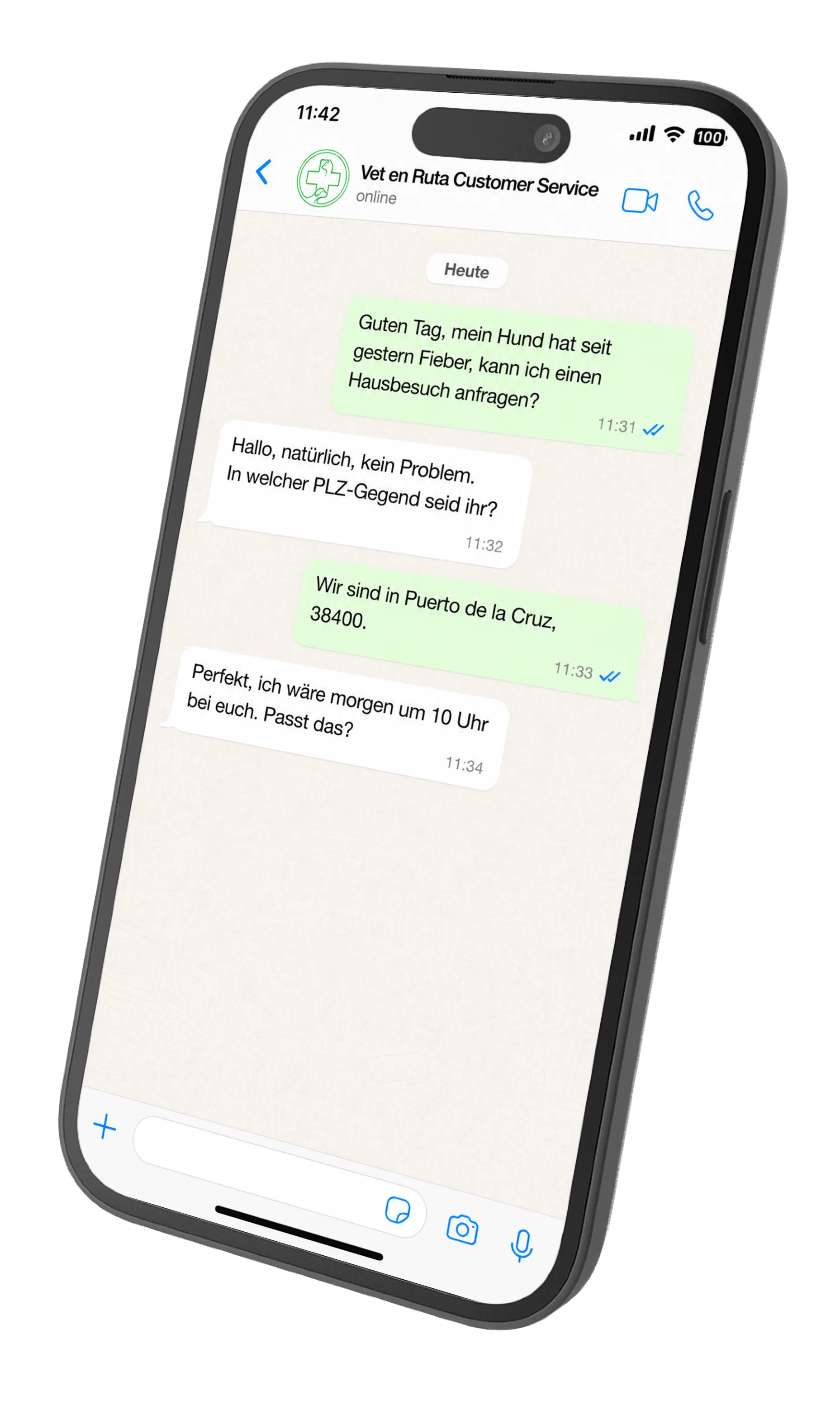 WhatsApp Mockup